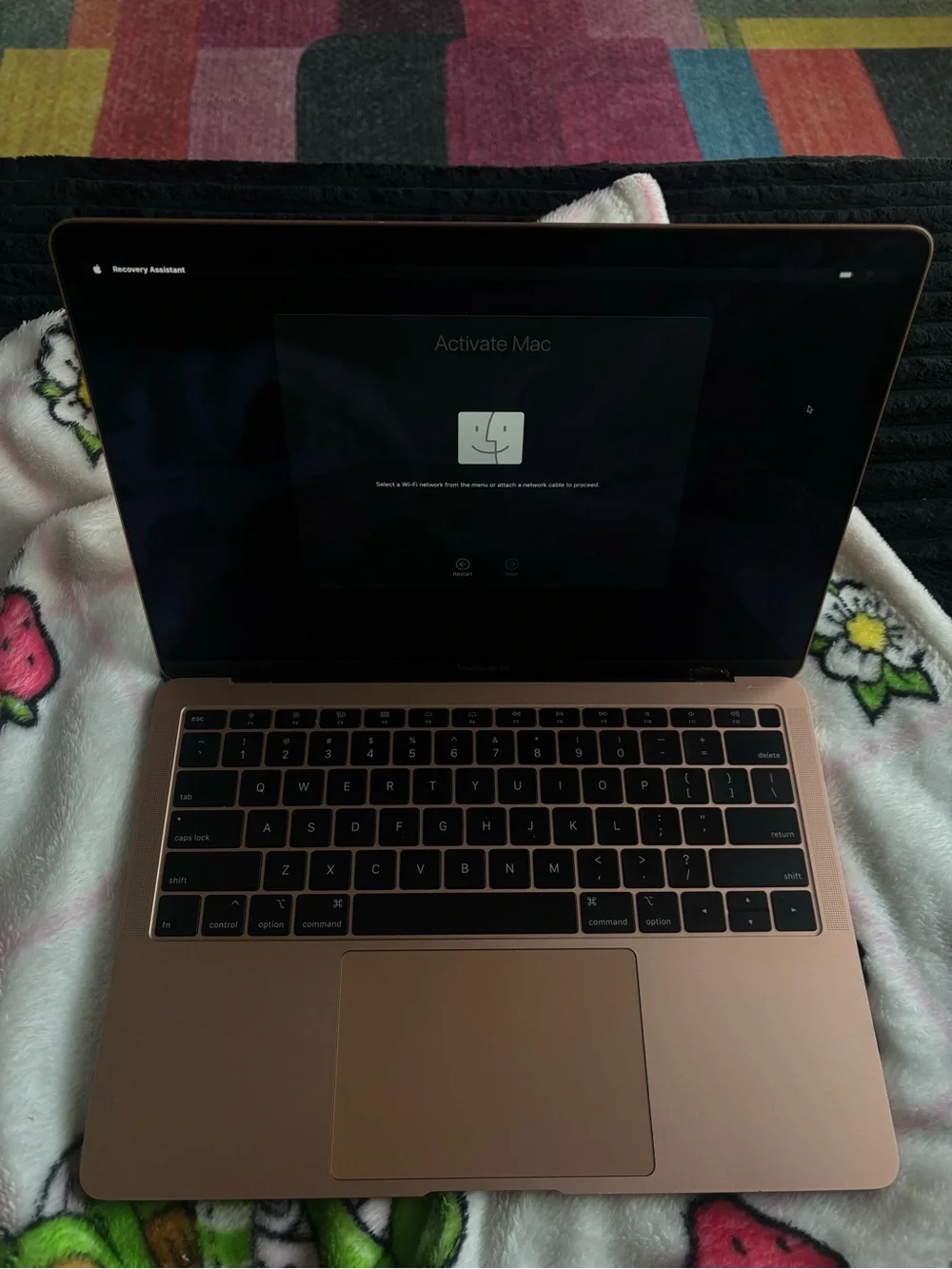 Apple MacBook in Rose Gold